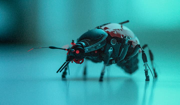 Nettoyage de printemps avec LATRODECTUS : un substitut potentiel à l'ICEDID