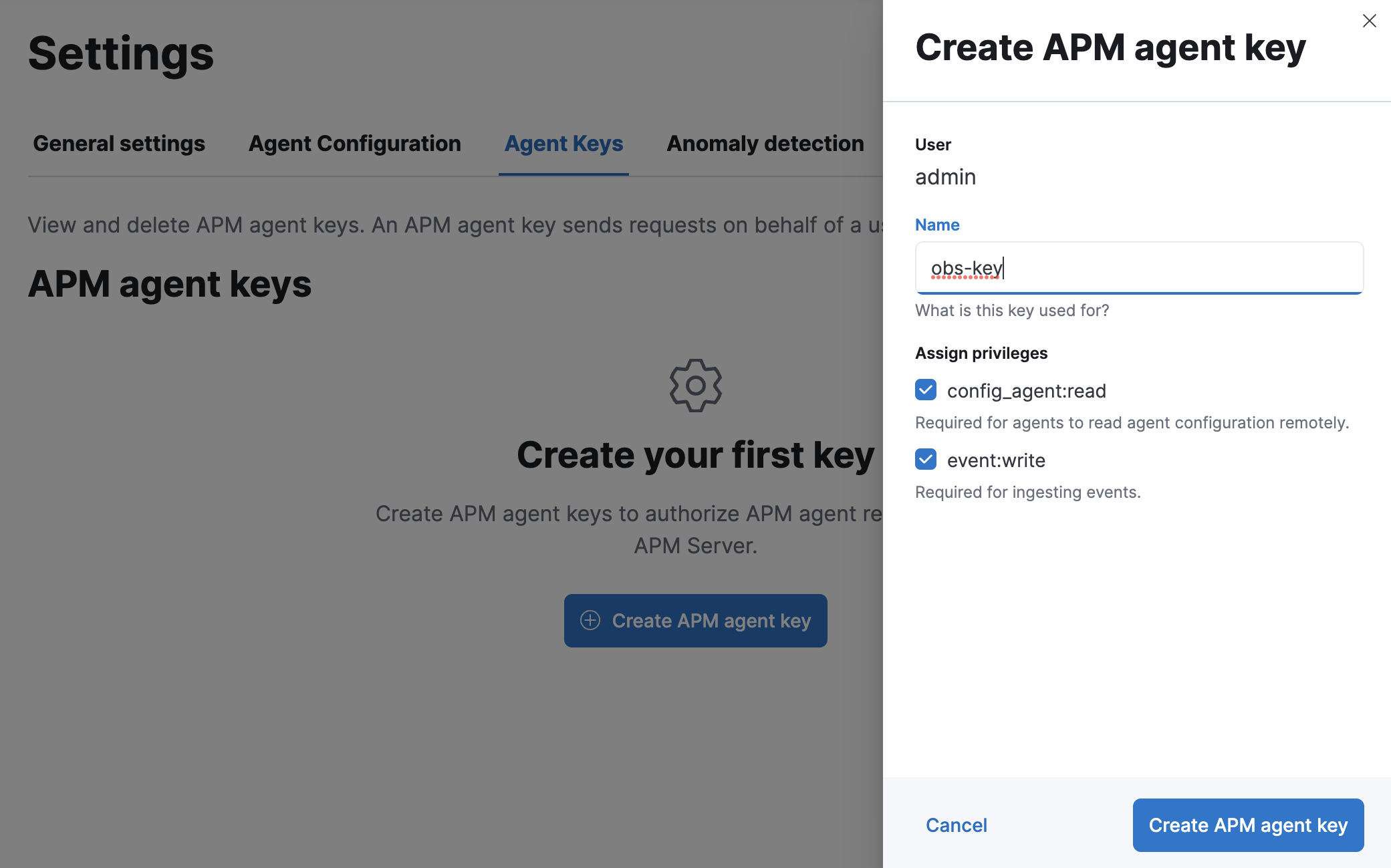 APM UI API key