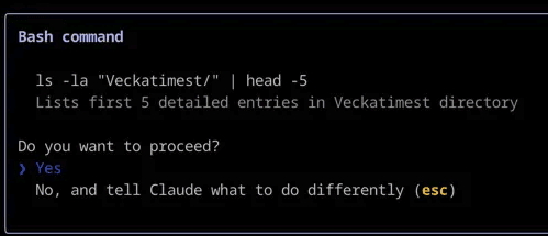 Claude Code using human in the loop (HITL)