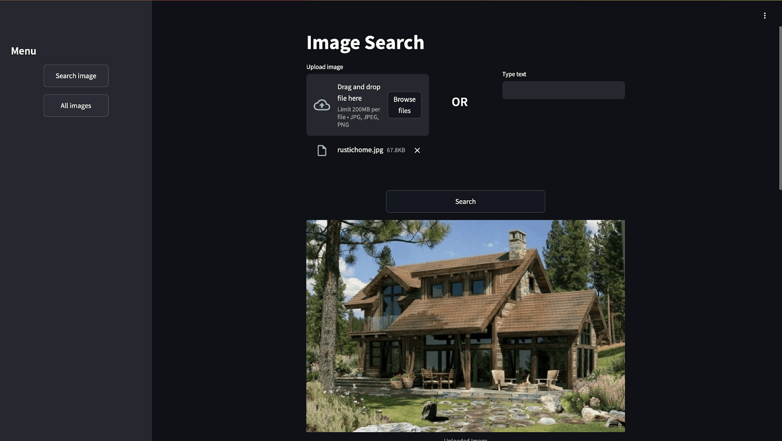 search using image or text
