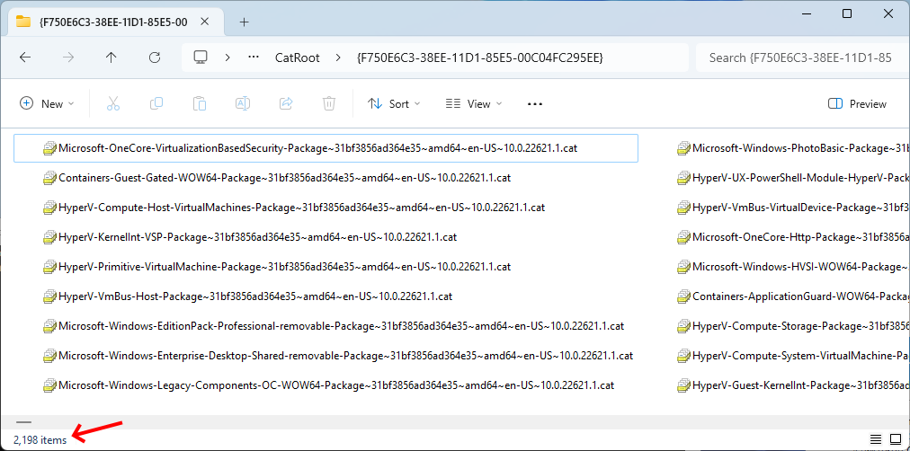 Security catalogs on a Windows 11 23H2 system